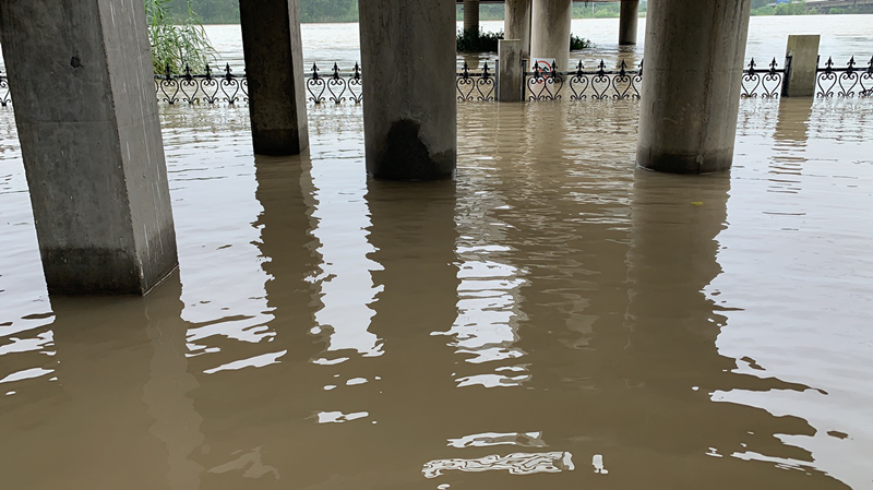 1596765219370718.png 盱眙淮河鎮(zhèn)城根八組防汛點(diǎn)水位2_副本.png